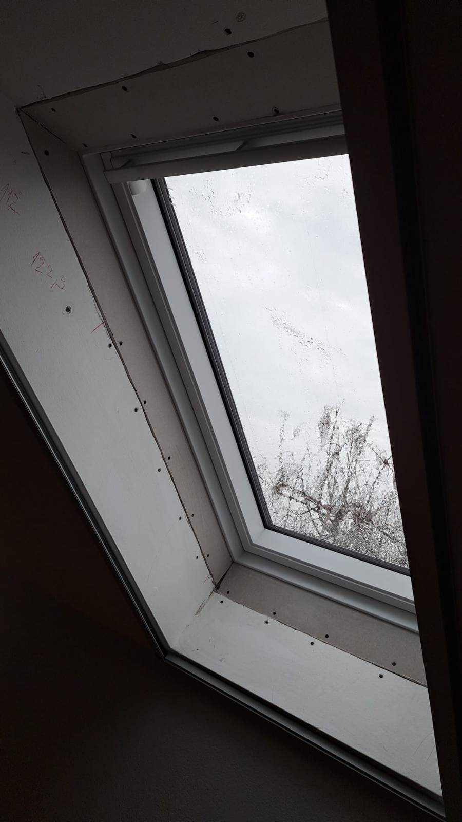 signal-2025-04-24-174804_003.jpeg